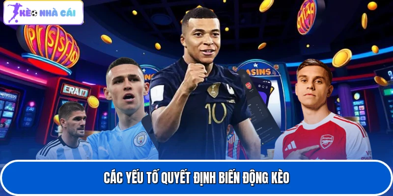 Các yếu tố quyết định biến động kèo
