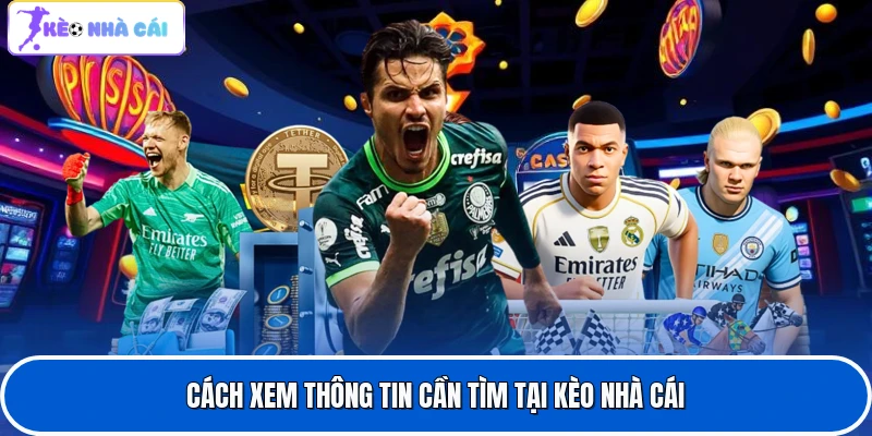 Cách xem thông tin cần tìm tại Kèo nhà cái