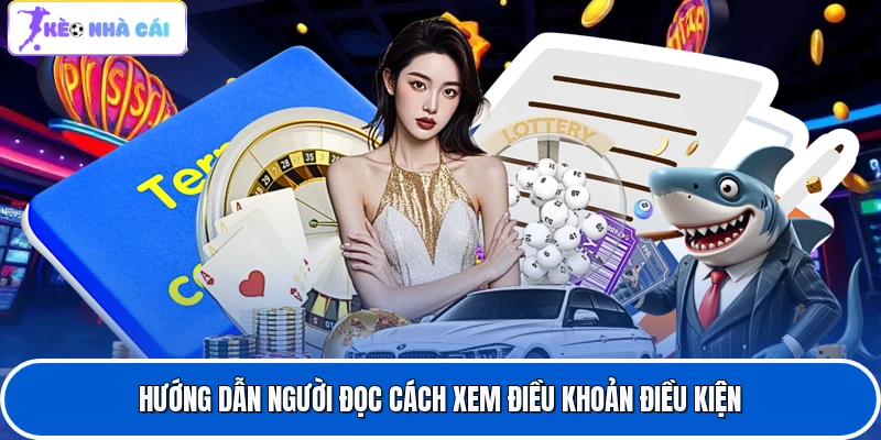 Hướng dẫn người đọc cách xem điều khoản điều kiện