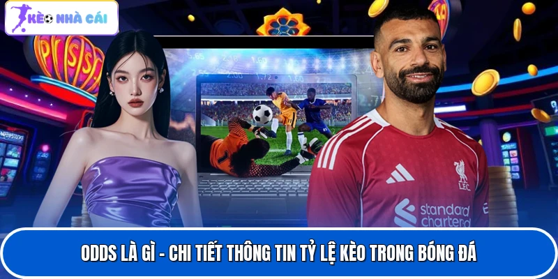 Odds Là Gì - Chi Tiết Thông Tin Tỷ Lệ Kèo Trong Bóng Đá
