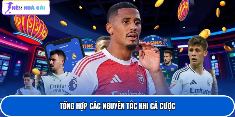 Tổng hợp các nguyên tắc khi cá cược