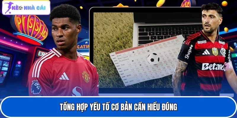 Tổng hợp yếu tố cơ bản cần hiểu đúng